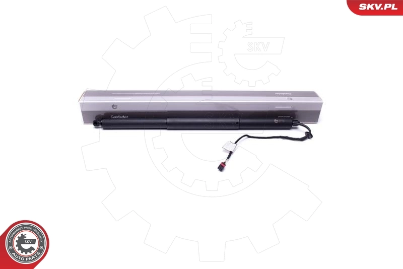Electric Motor, tailgate